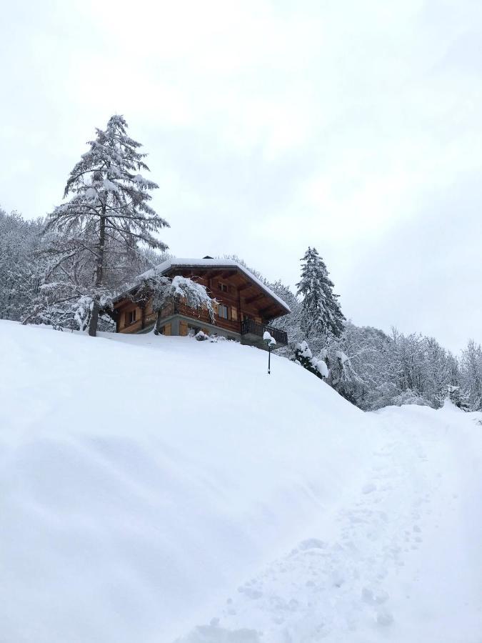 La Marmotte Qui Papote Appartement Le Grand-Bornand