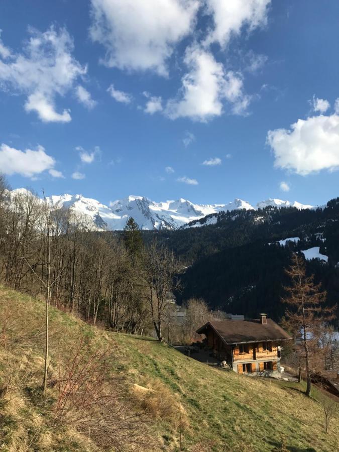 La Marmotte Qui Papote