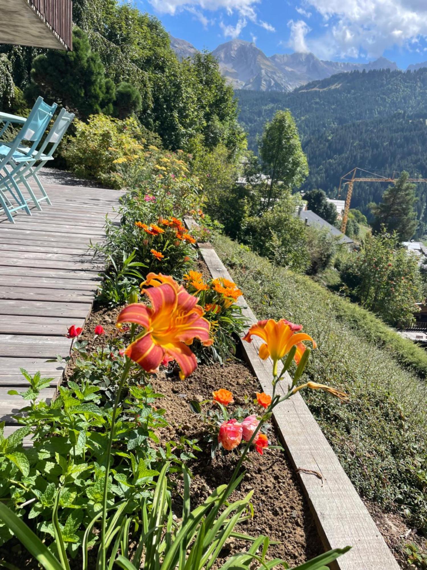La Marmotte Qui Papote Le Grand-Bornand